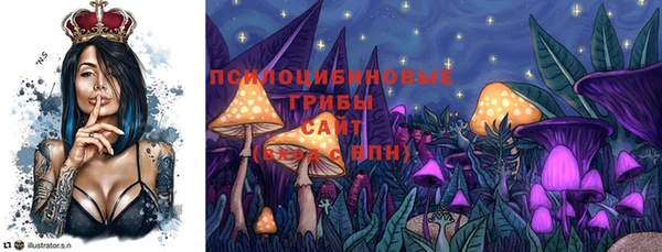 не бодяженный Медногорск