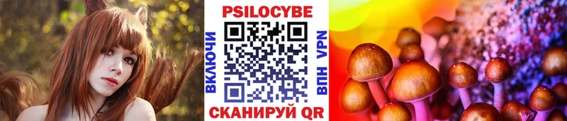 Купить закладки  Курлово  Псилоцибиновые грибы Cubensis 